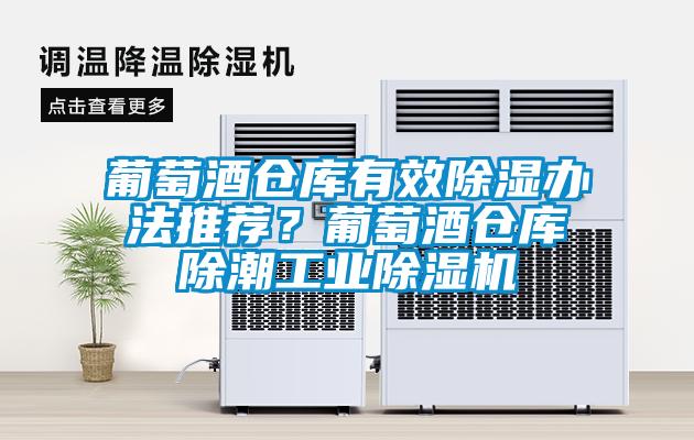 葡萄酒倉庫有效除濕辦法推薦？葡萄酒倉庫除潮工業除濕機