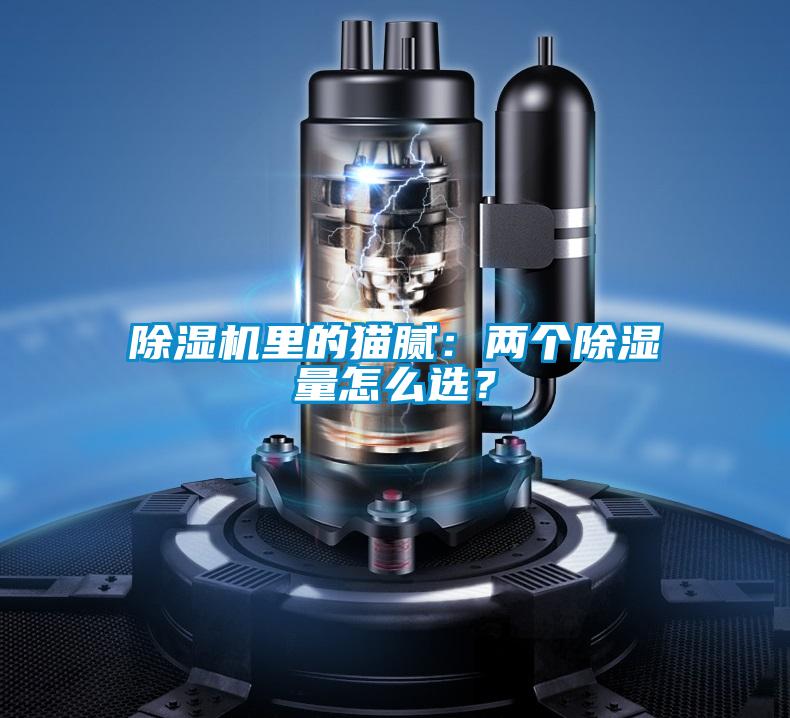 除濕機里的貓膩:兩個除濕量怎么選?