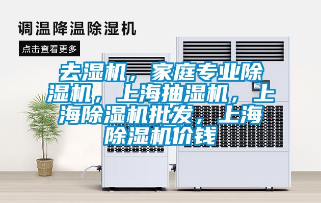 去濕機，家庭專業除濕機，上海抽濕機，上海除濕機批發，上海除濕機價錢