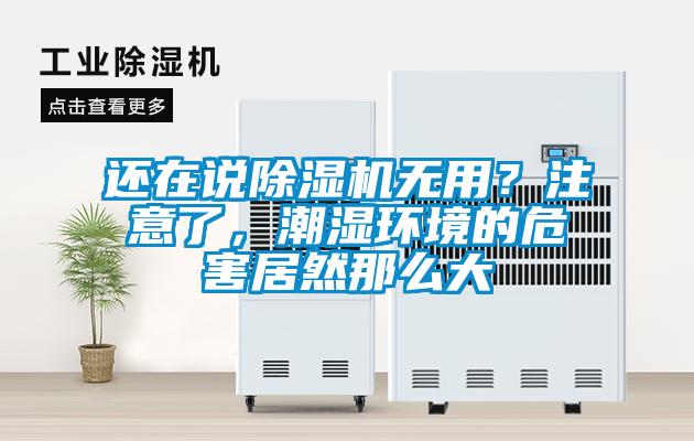 還在說除濕機(jī)無用？注意了，潮濕環(huán)境的危害居然那么大