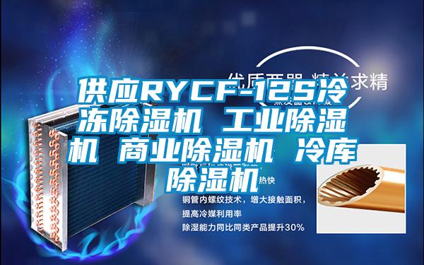 供應RYCF-12S冷凍除濕機 工業(yè)除濕機 商業(yè)除濕機 冷庫除濕機