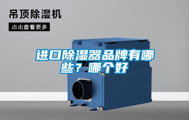 進口除濕器品牌有哪些？哪個好