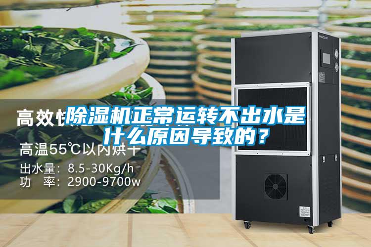 除濕機正常運轉不出水是什么原因導致的？