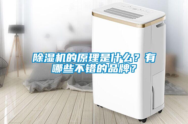 除濕機的原理是什么？有哪些不錯的品牌？