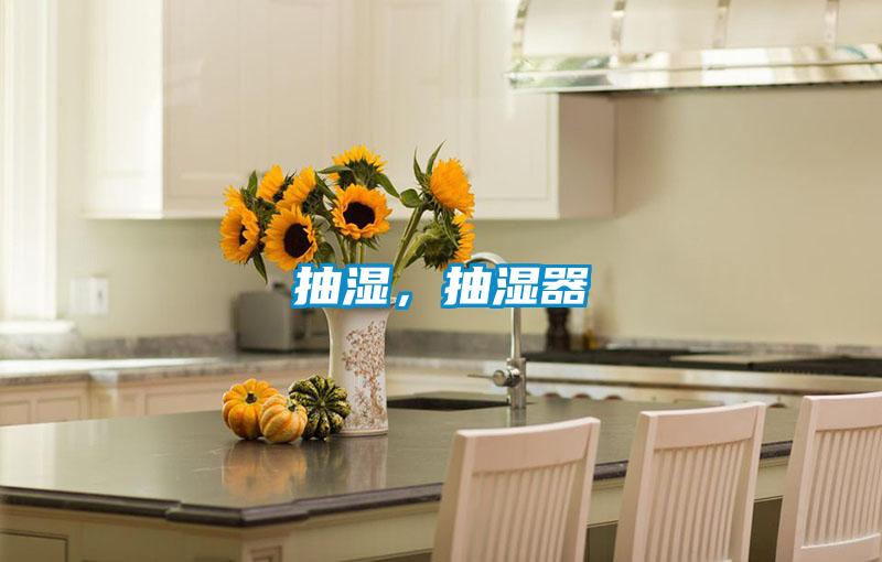抽濕，抽濕器