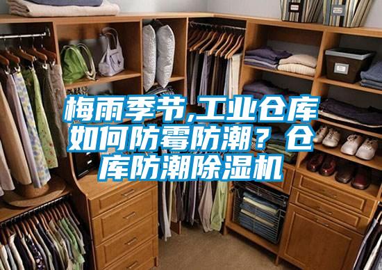 梅雨季節,工業倉庫如何防霉防潮？倉庫防潮除濕機
