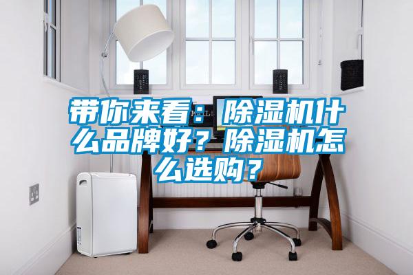 帶你來(lái)看：除濕機(jī)什么品牌好？除濕機(jī)怎么選購(gòu)？