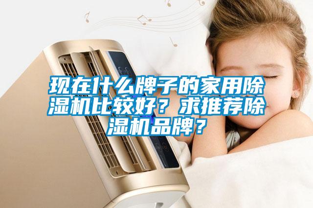 現在什么牌子的家用除濕機比較好？求推薦除濕機品牌？