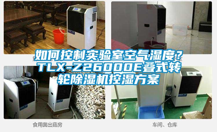 如何控制實驗室空氣濕度？TLX-Z26000E疊式轉輪除濕機控濕方案
