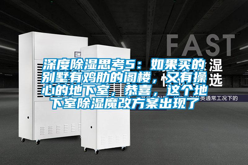 深度除濕思考5：如果買的別墅有雞肋的閣樓，又有操心的地下室，恭喜，這個地下室除濕魔改方案出現了