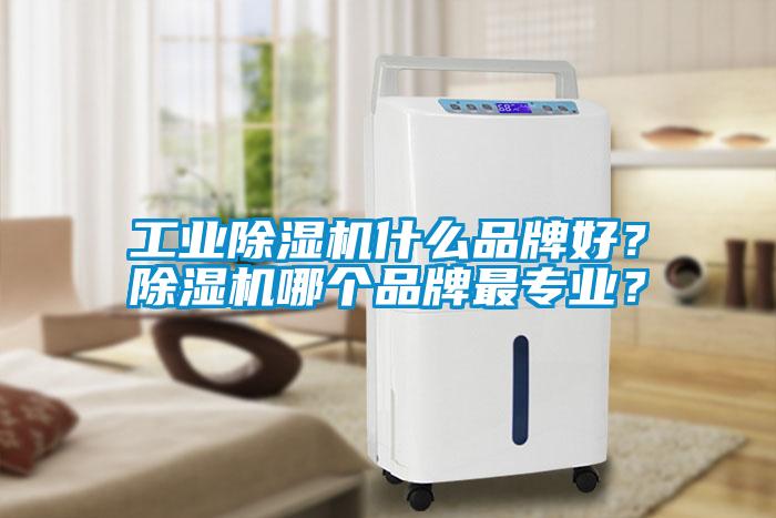 工業(yè)除濕機什么品牌好？除濕機哪個品牌最專業(yè)？
