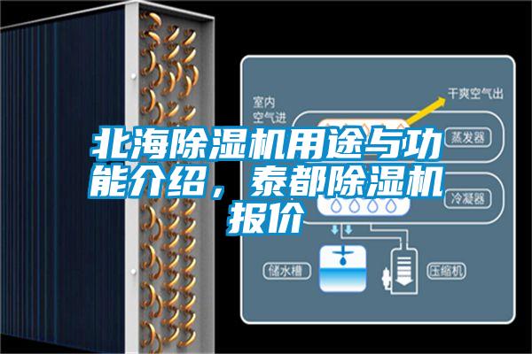 北海除濕機用途與功能介紹，泰都除濕機報價