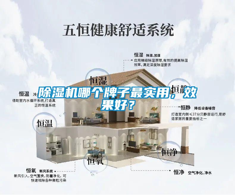 除濕機(jī)哪個牌子最實用，效果好？