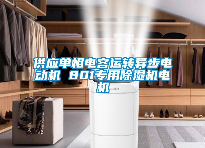 供應單相電容運轉(zhuǎn)異步電動機 801專用除濕機電機