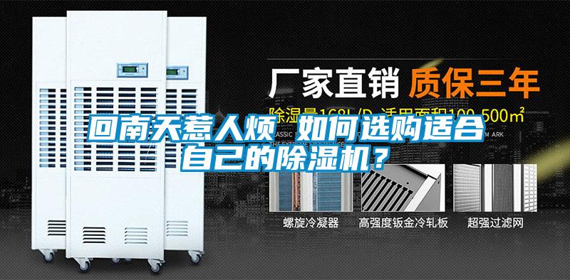 回南天惹人煩 如何選購適合自己的除濕機？