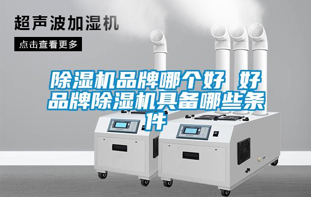 除濕機(jī)品牌哪個好 好品牌除濕機(jī)具備哪些條件