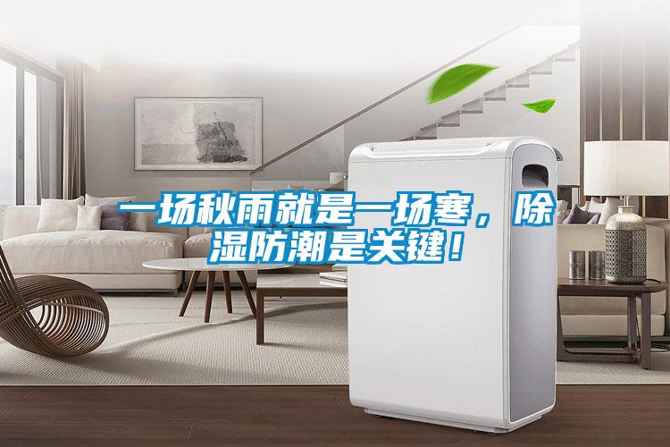一場秋雨就是一場寒，除濕防潮是關鍵！