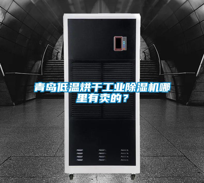 青島低溫烘干工業除濕機哪里有賣的？