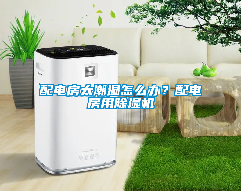 配電房太潮濕怎么辦？配電房用除濕機(jī)