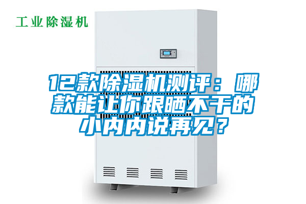 12款除濕機(jī)測評：哪款能讓你跟曬不干的小內(nèi)內(nèi)說再見？