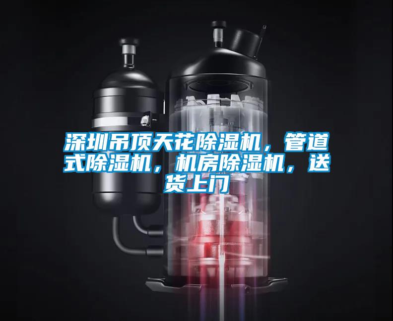 深圳吊頂天花除濕機(jī)，管道式除濕機(jī)，機(jī)房除濕機(jī)，送貨上門