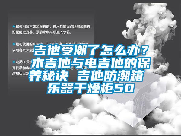 吉他受潮了怎么辦？木吉他與電吉他的保養秘訣 吉他防潮箱 樂器干燥柜50