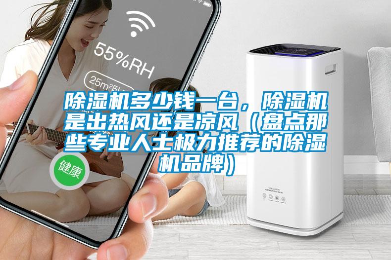 除濕機多少錢一臺,除濕機是出熱風(fēng)還是涼風(fēng)(盤點那些專業(yè)人士極力推薦的除濕機品牌)