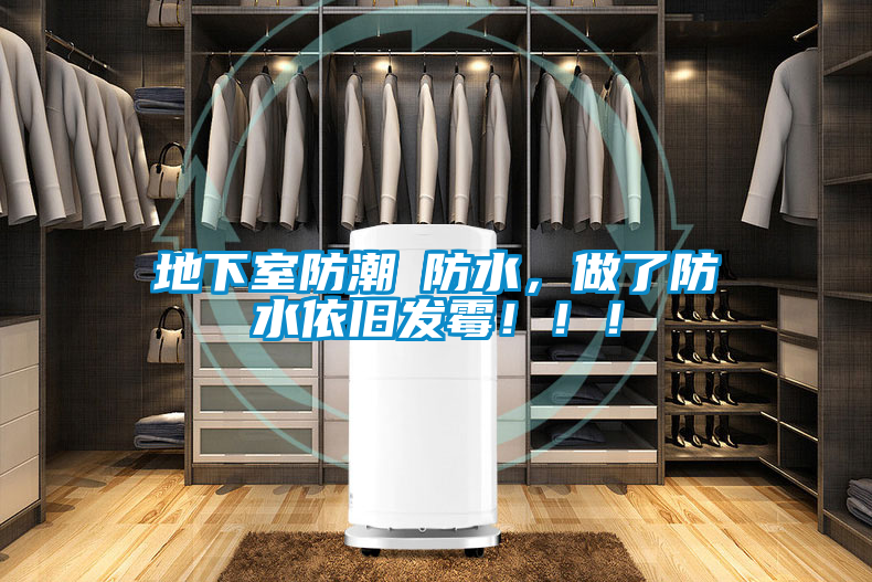 地下室防潮≠防水，做了防水依舊發(fā)霉！！！