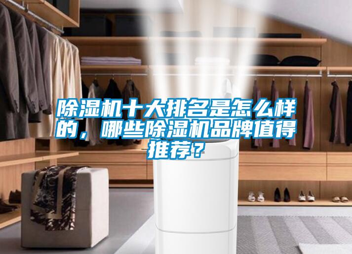 除濕機十大排名是怎么樣的，哪些除濕機品牌值得推薦？