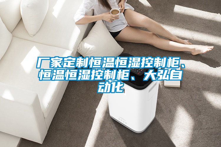 廠家定制恒溫恒濕控制柜、恒溫恒濕控制柜、大弘自動(dòng)化