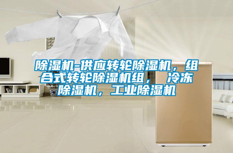 除濕機(jī)-供應(yīng)轉(zhuǎn)輪除濕機(jī)，組合式轉(zhuǎn)輪除濕機(jī)組， 冷凍除濕機(jī)，工業(yè)除濕機(jī)