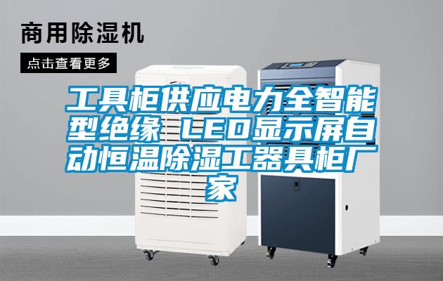 工具柜供應(yīng)電力全智能型絕緣 LED顯示屏自動恒溫除濕工器具柜廠家