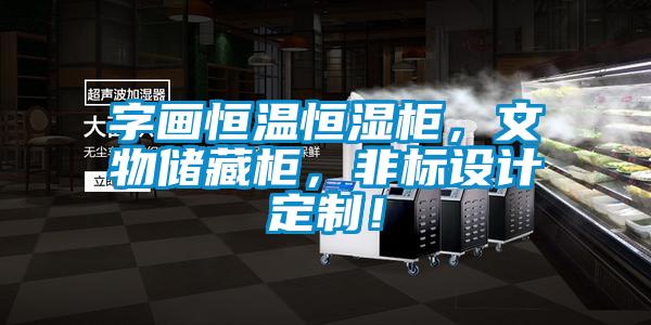 字畫恒溫恒濕柜，文物儲藏柜，非標設計定制！
