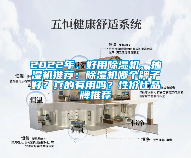 2022年，好用除濕機、抽濕機推薦：除濕機哪個牌子好？真的有用嗎？性價比品牌推薦
