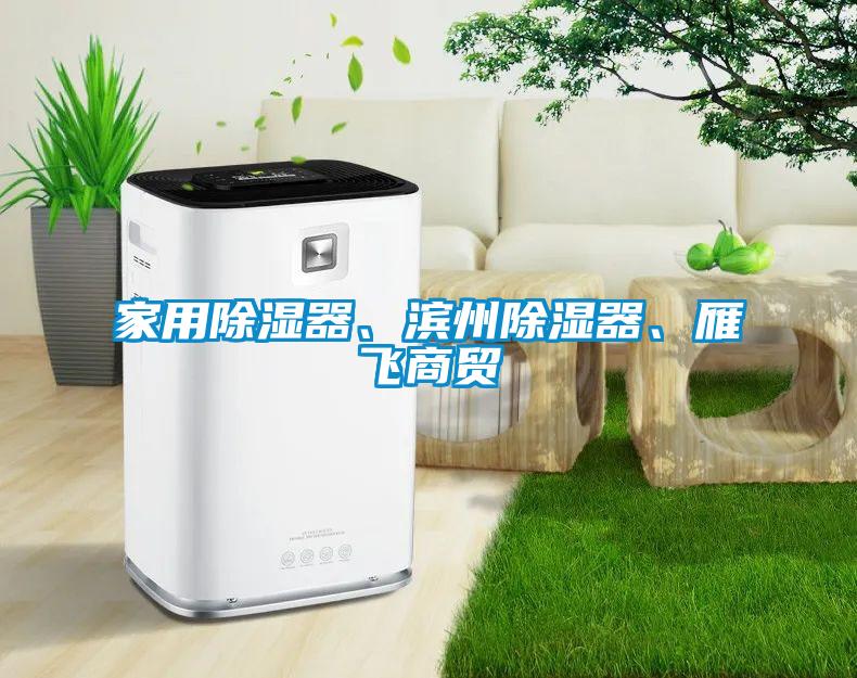 家用除濕器、濱州除濕器、雁飛商貿(mào)