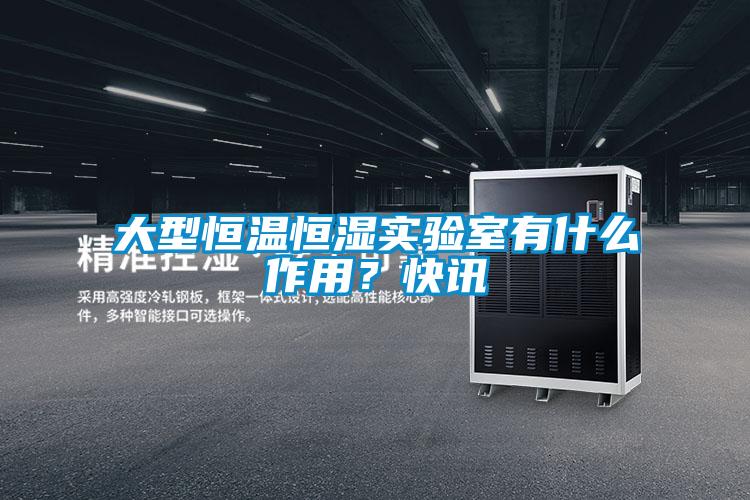 大型恒溫恒濕實驗室有什么作用？快訊