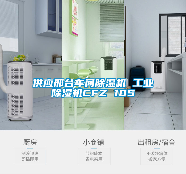 供應(yīng)邢臺(tái)車間除濕機(jī) 工業(yè)除濕機(jī)CFZ 10S