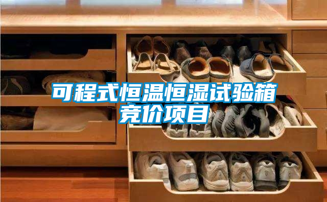 可程式恒溫恒濕試驗(yàn)箱競價(jià)項(xiàng)目