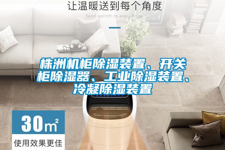 株洲機(jī)柜除濕裝置、開關(guān)柜除濕器、工業(yè)除濕裝置、冷凝除濕裝置