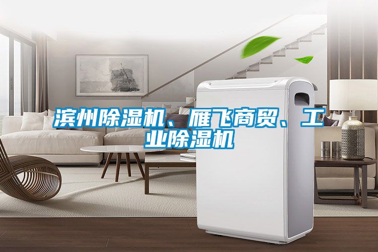 濱州除濕機、雁飛商貿(mào)、工業(yè)除濕機