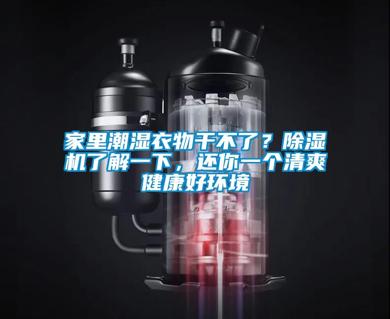 家里潮濕衣物干不了？除濕機了解一下，還你一個清爽健康好環境