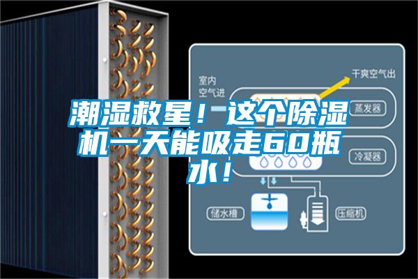 潮濕救星！這個除濕機(jī)一天能吸走60瓶水！