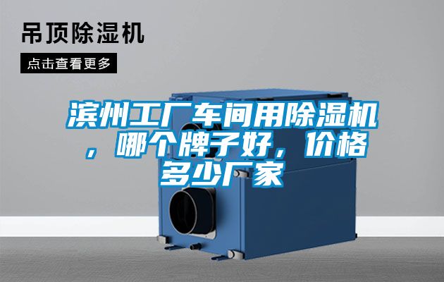 濱州工廠車間用除濕機，哪個牌子好，價格多少廠家