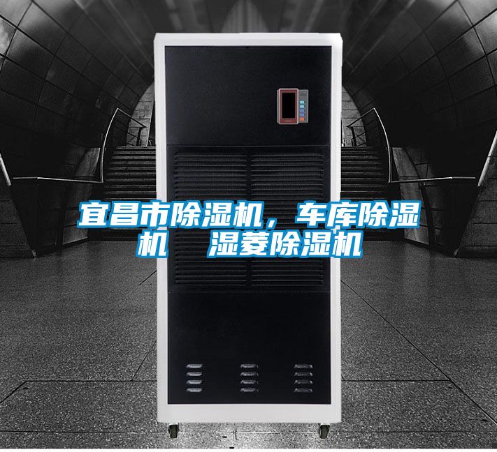 宜昌市除濕機(jī)，車庫除濕機(jī)  濕菱除濕機(jī)