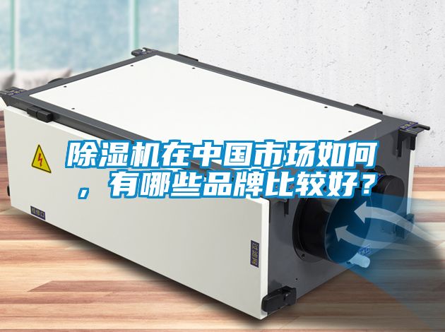 除濕機(jī)在中國市場如何，有哪些品牌比較好？