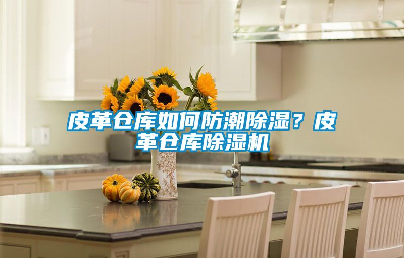 皮革倉(cāng)庫(kù)如何防潮除濕？皮革倉(cāng)庫(kù)除濕機(jī)
