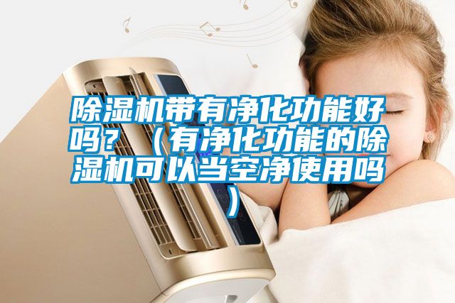 除濕機帶有凈化功能好嗎？（有凈化功能的除濕機可以當空凈使用嗎）