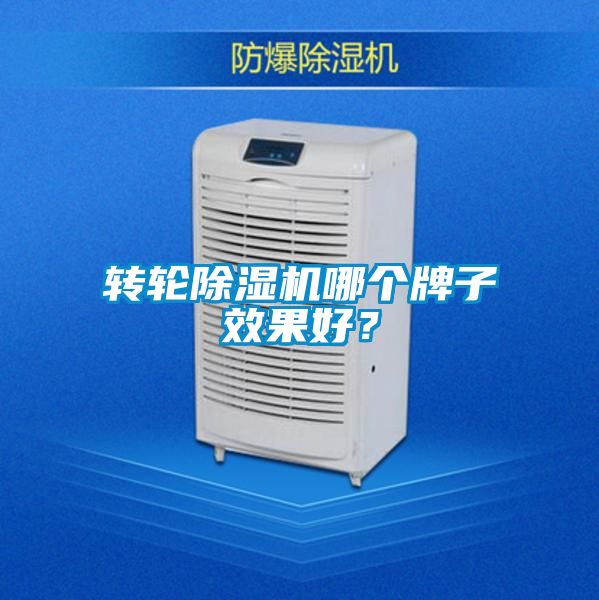 轉(zhuǎn)輪除濕機(jī)哪個(gè)牌子效果好？