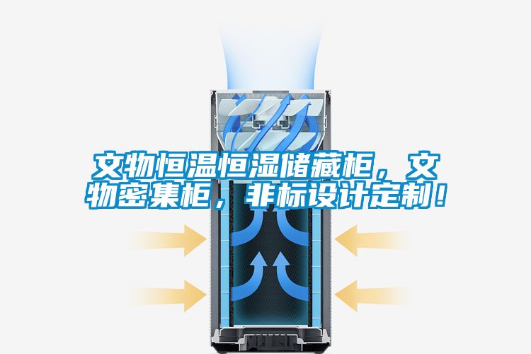 文物恒溫恒濕儲(chǔ)藏柜，文物密集柜，非標(biāo)設(shè)計(jì)定制！