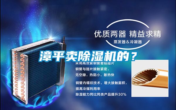 漳平賣(mài)除濕機(jī)的？